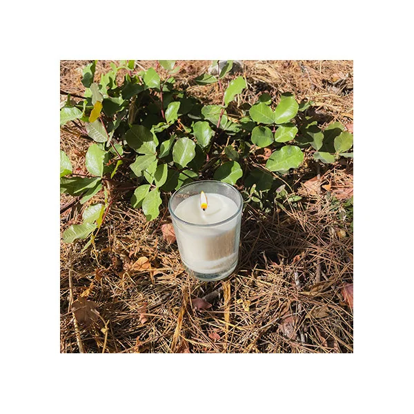 Stop flies Geranium candles... 2