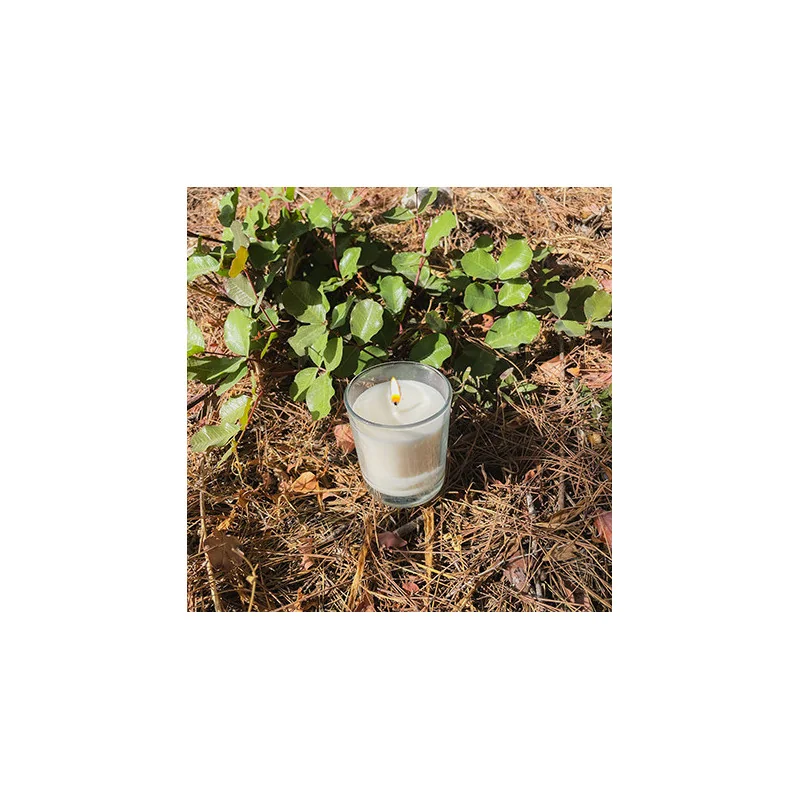 Stop flies Geranium candles - Box 6 units
