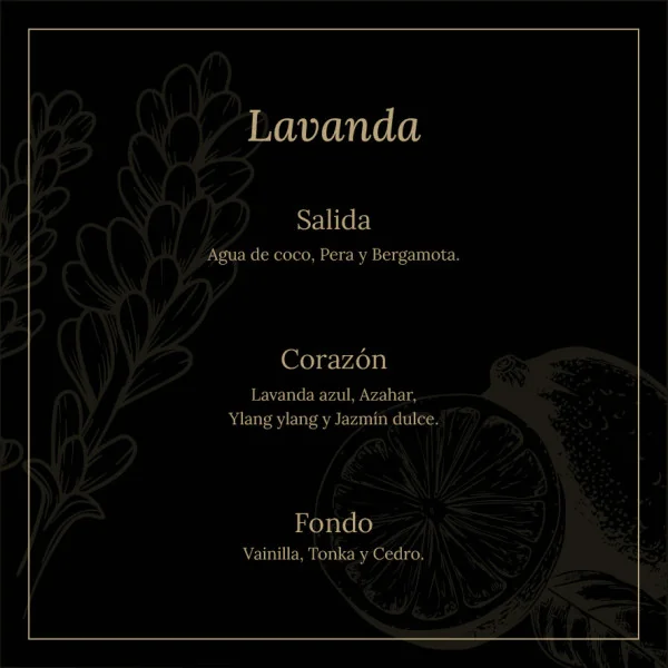 Vela vegetal perfumada Med. 230 Grs.