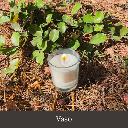 Vaso